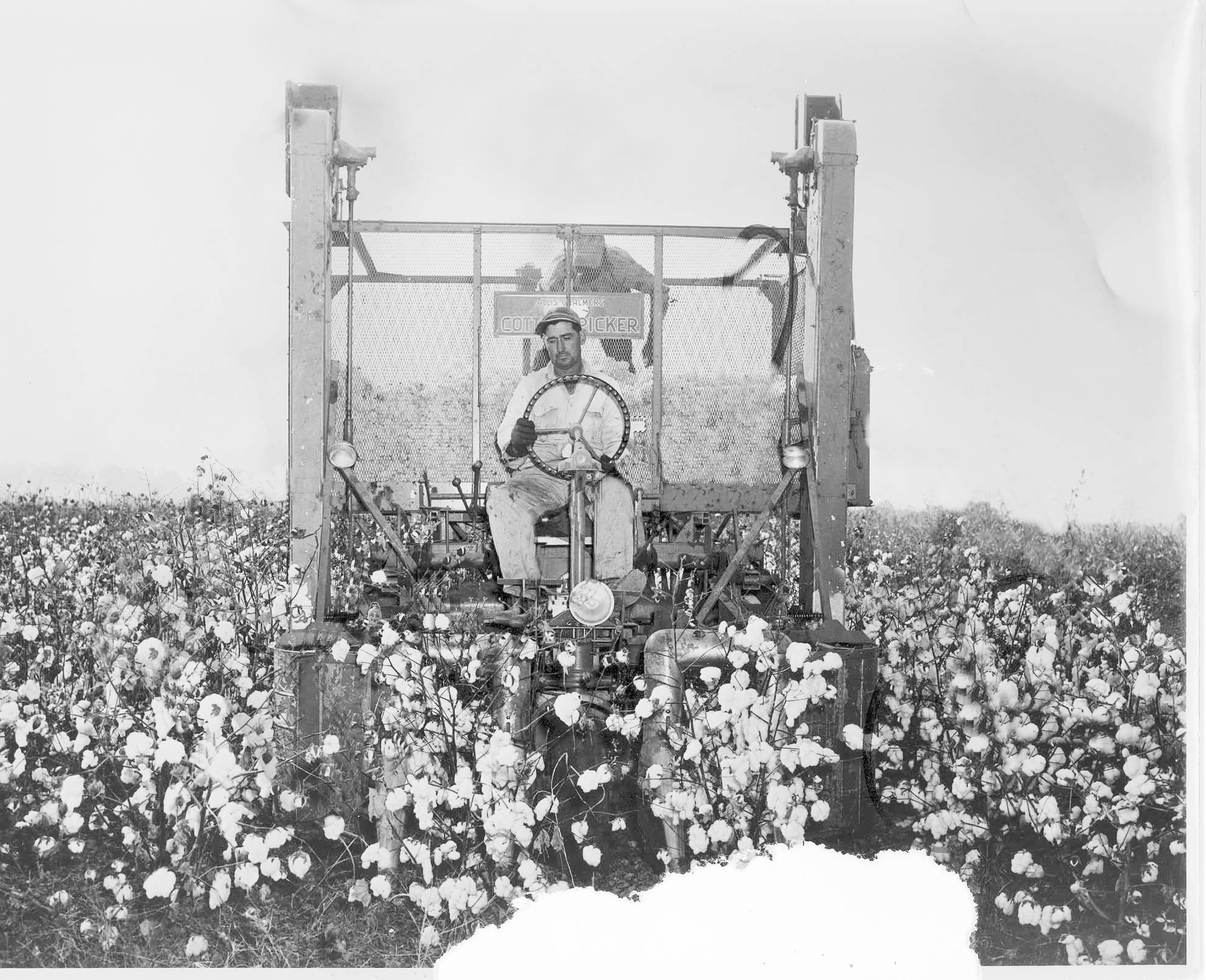 BoydLanePlantation.jpg