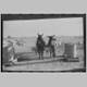 KnowltonPlantationrailcarscottonthumb.jpg