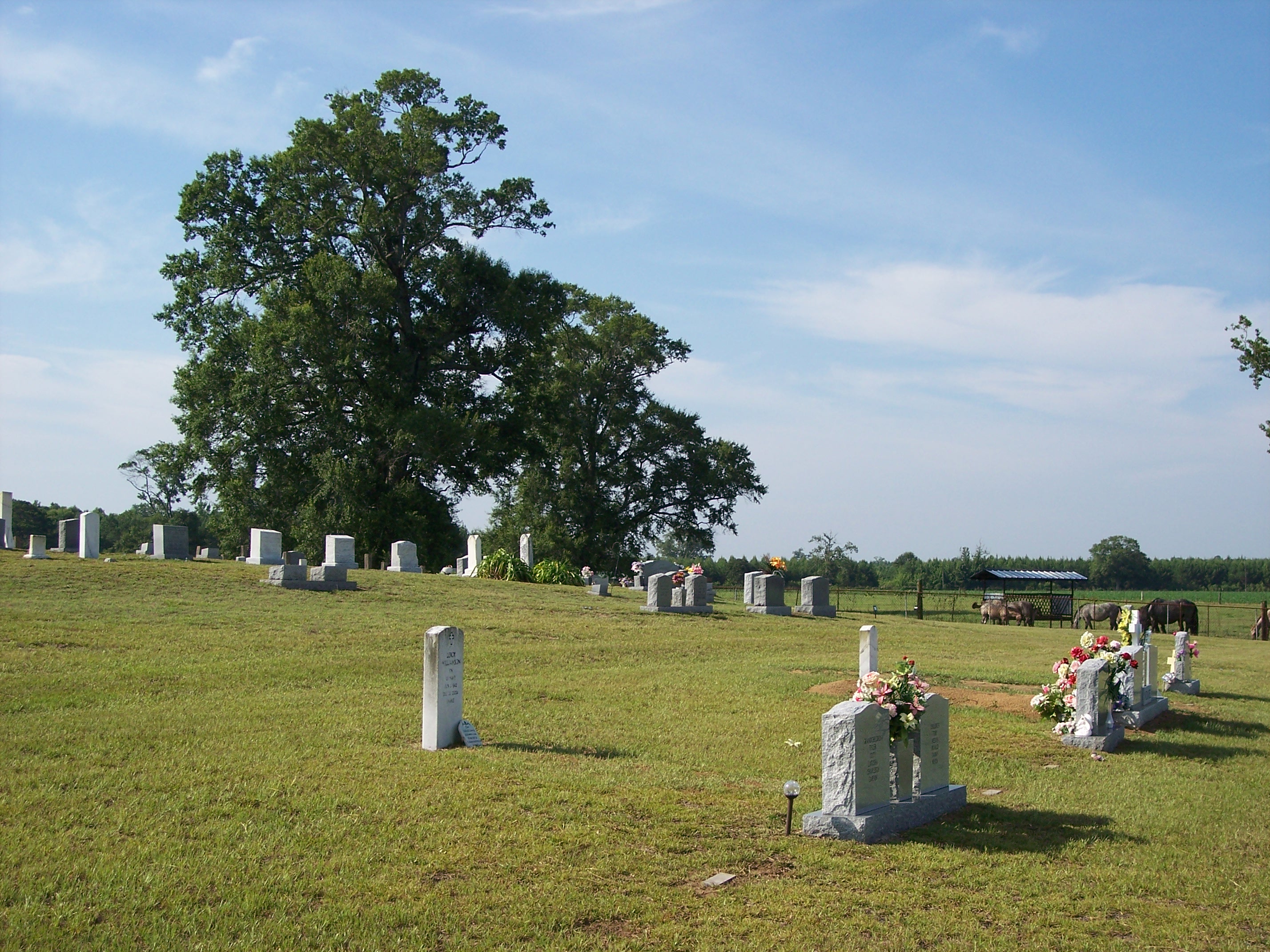 Lowe Cemetery, Coipiah County, MS