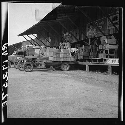 Packing shed in Copiah near Hazlehurst ~1937