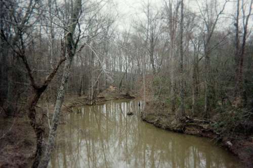 photo of Bull Mountain Creek