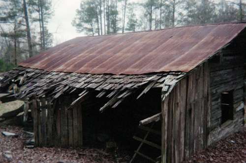 photo showing thatched roof of old Harris cabin