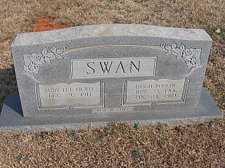 Swan marker