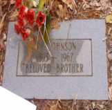 Grave marker of Ivy Johnson,  Johnson Cemetery, Pontotoc County, Mississippi