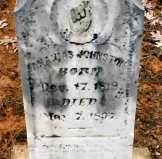Grave marker of Sananias Johnston,  Johnson Cemetery, Pontotoc County, Mississippi