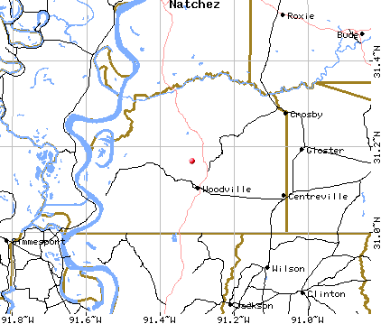Map of Wilkinson County